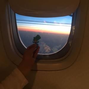 Meet your Posher, Wayne